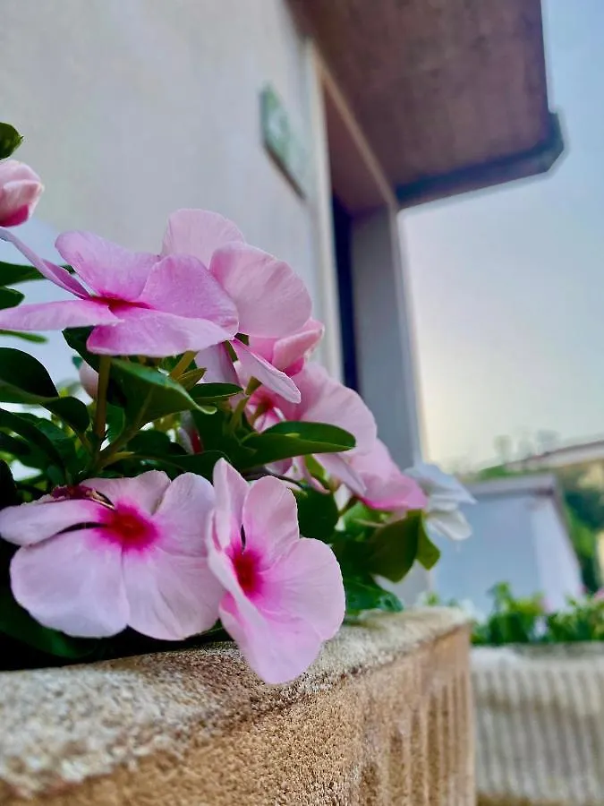 Casa Rachele Apartment Μπαρντολίνο 0*,